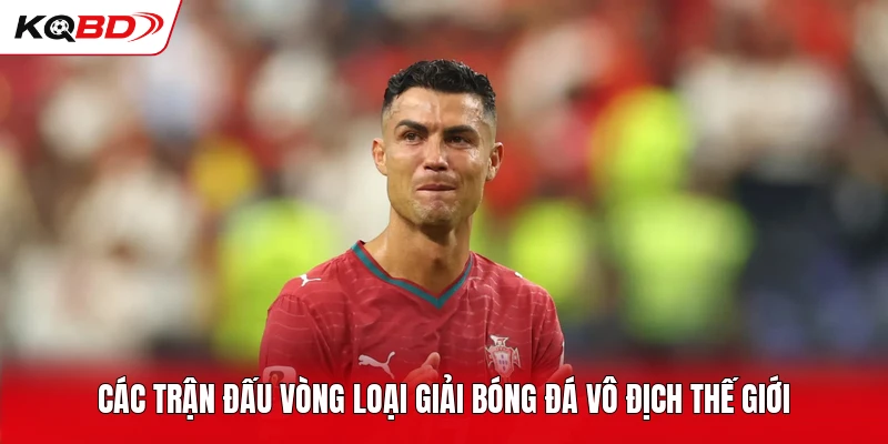 Các trận đấu vòng loại giải bóng đá vô địch thế giới